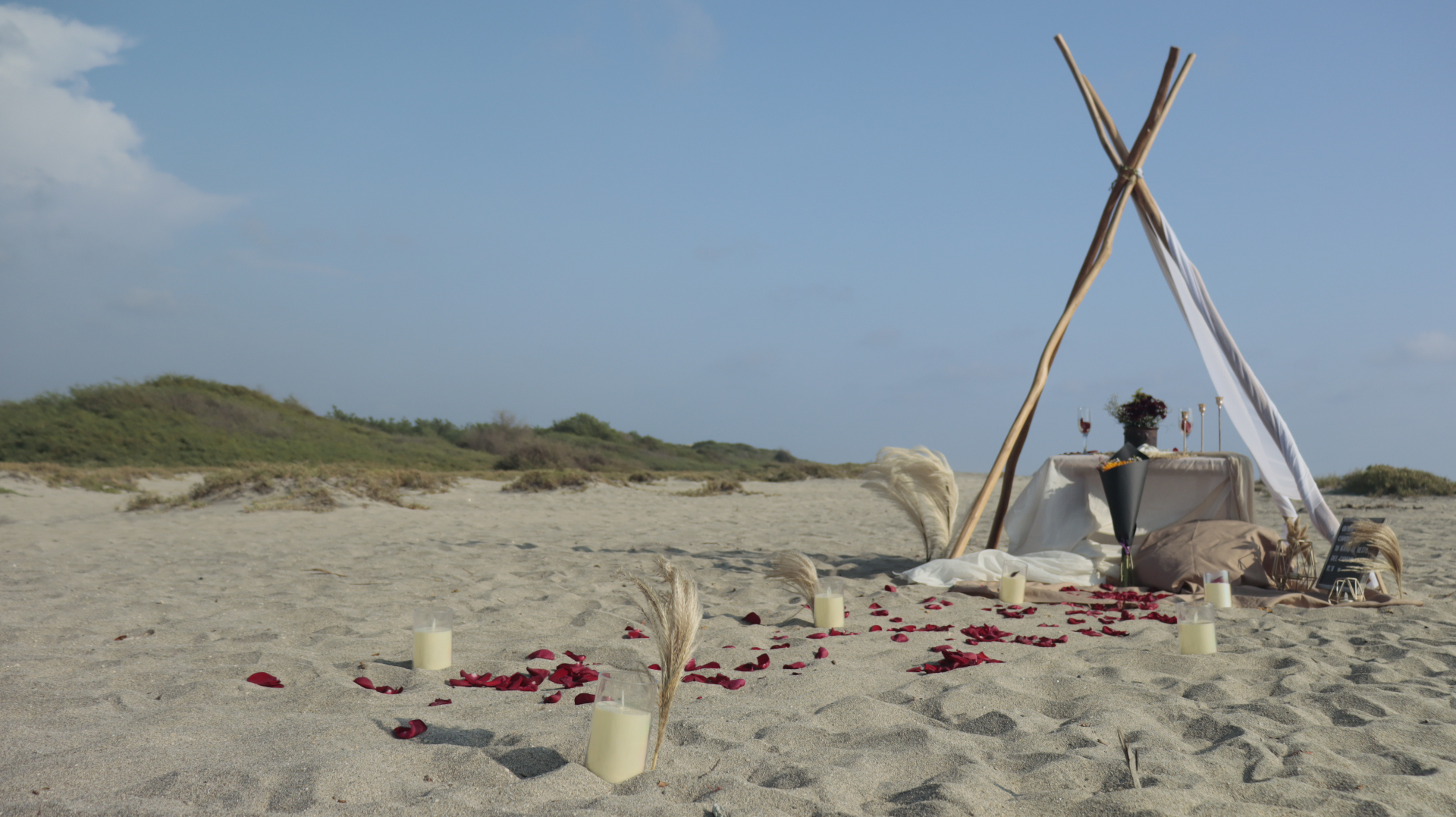 Romantic Beach Picnic Setup