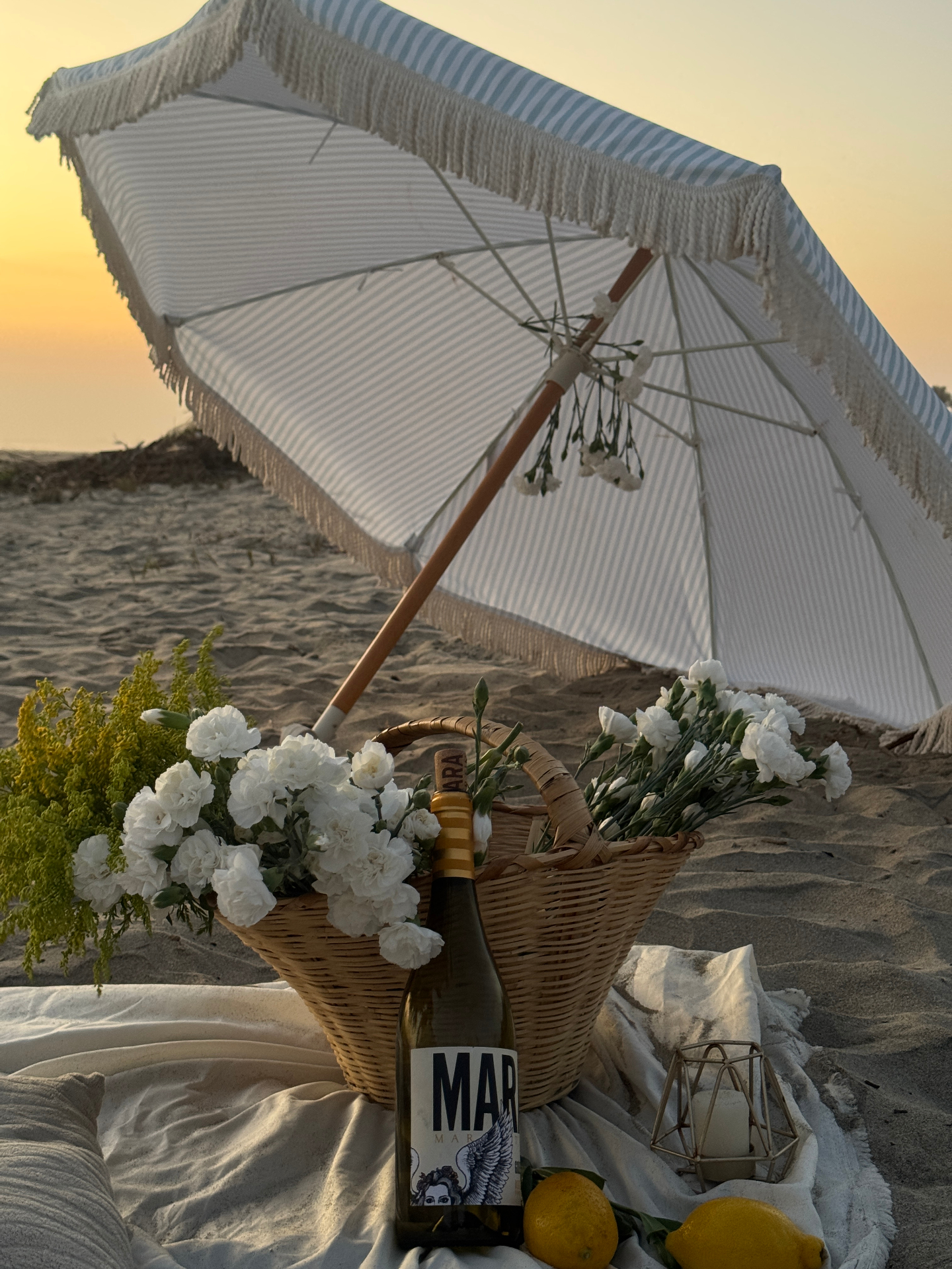 Beach Picnic Setup 1