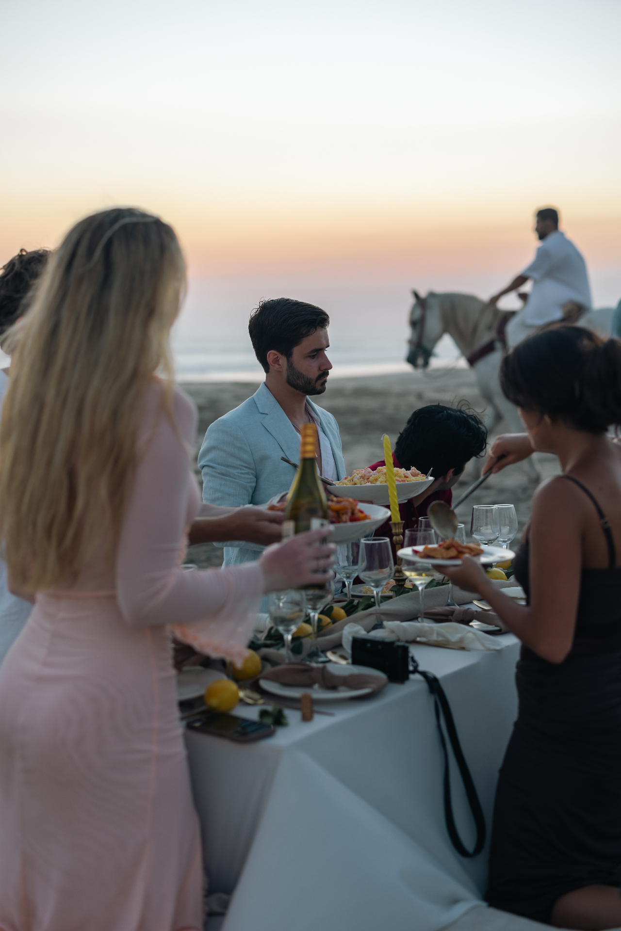 Beach Picnic Setup 5